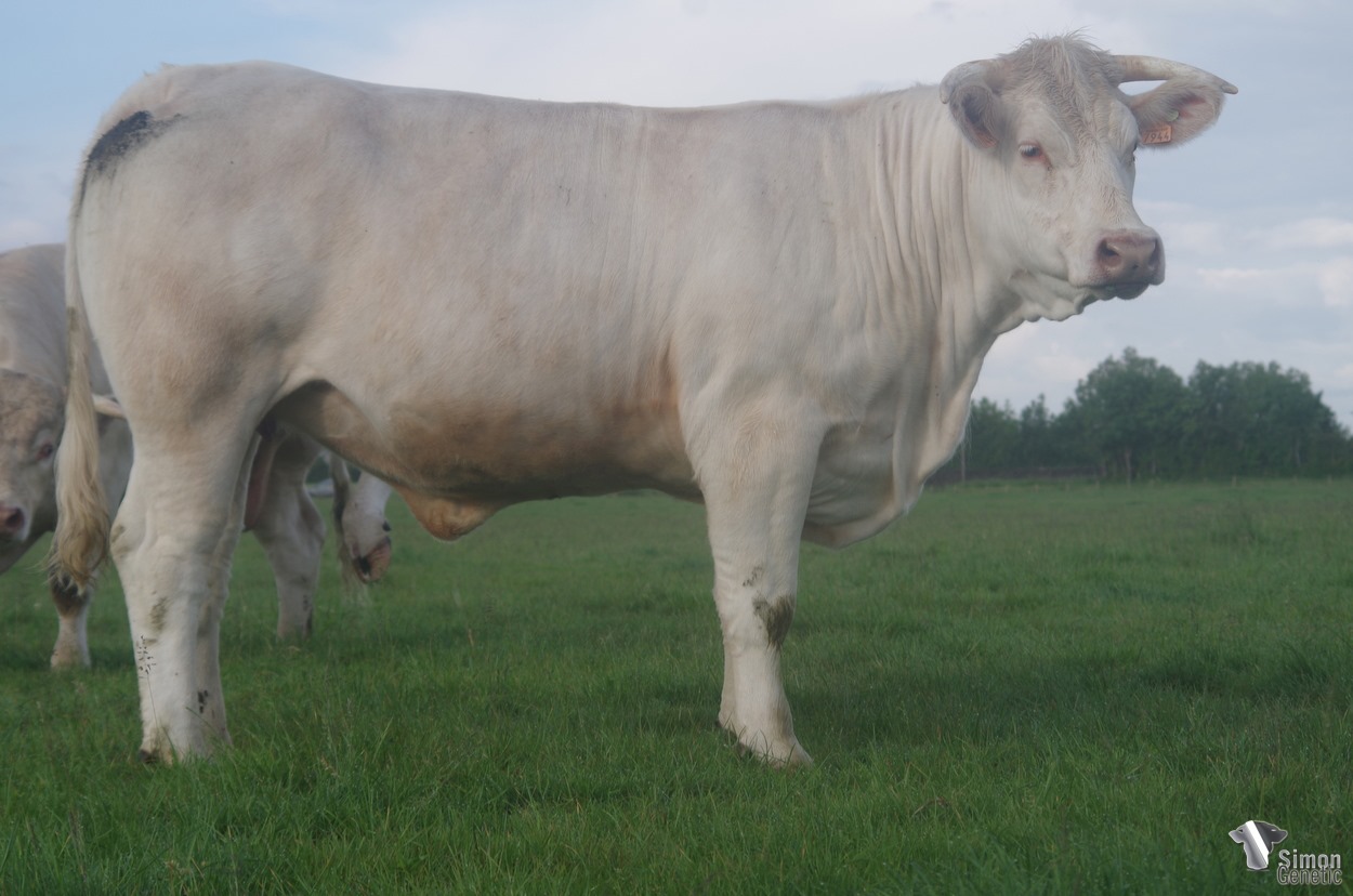 65319751_2509462059171309_5957481018100285440_o