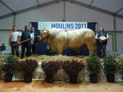 611_3_dix_de_der_002