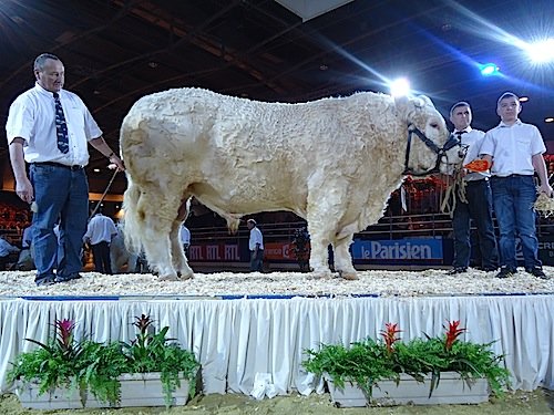 612_3_dix_de_der_003