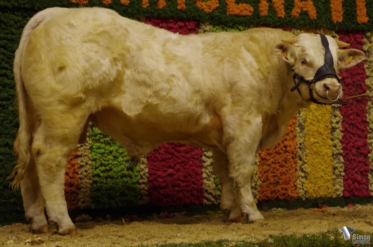 16991795_1218065218311006_2957300154747205834_o