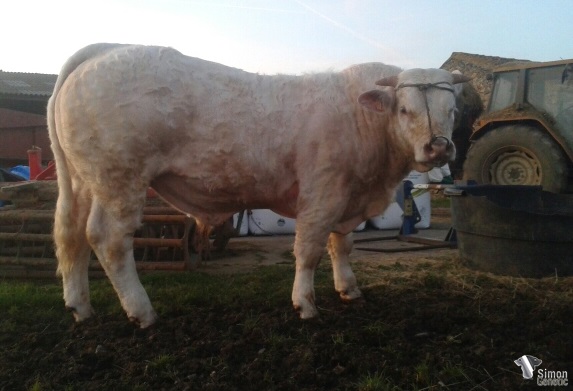 2017-02-17_18.36.47 (1)