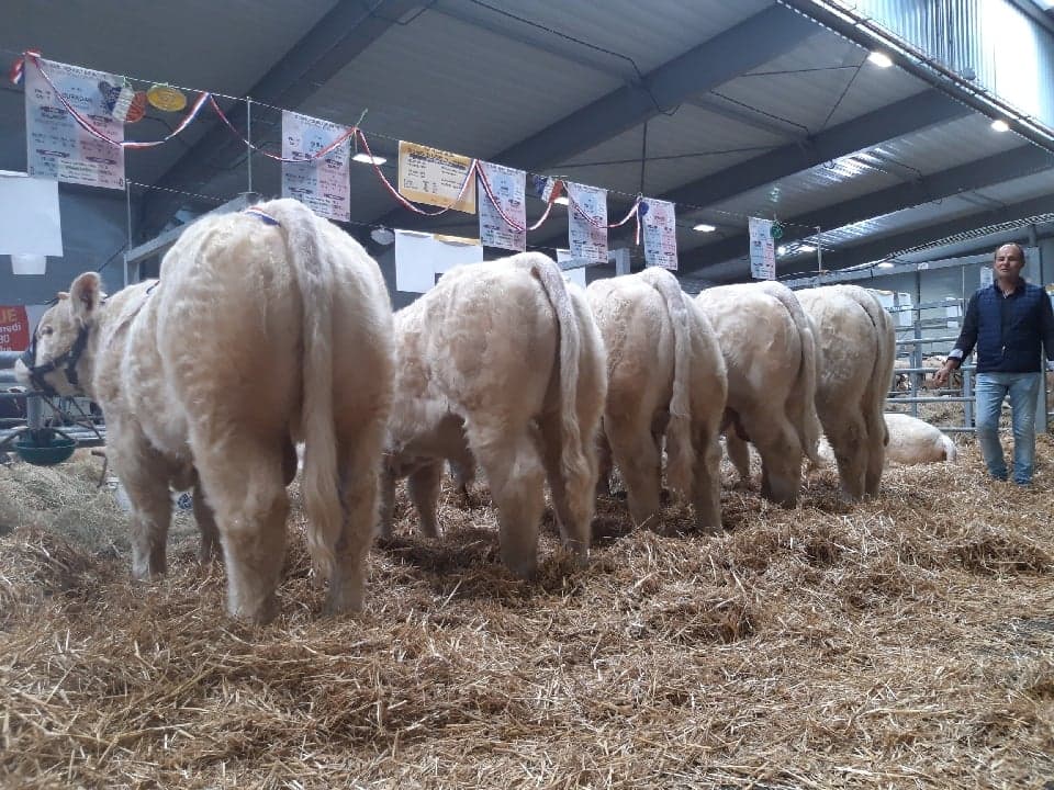 46101507_1359829007487602_2717796614180700160_n