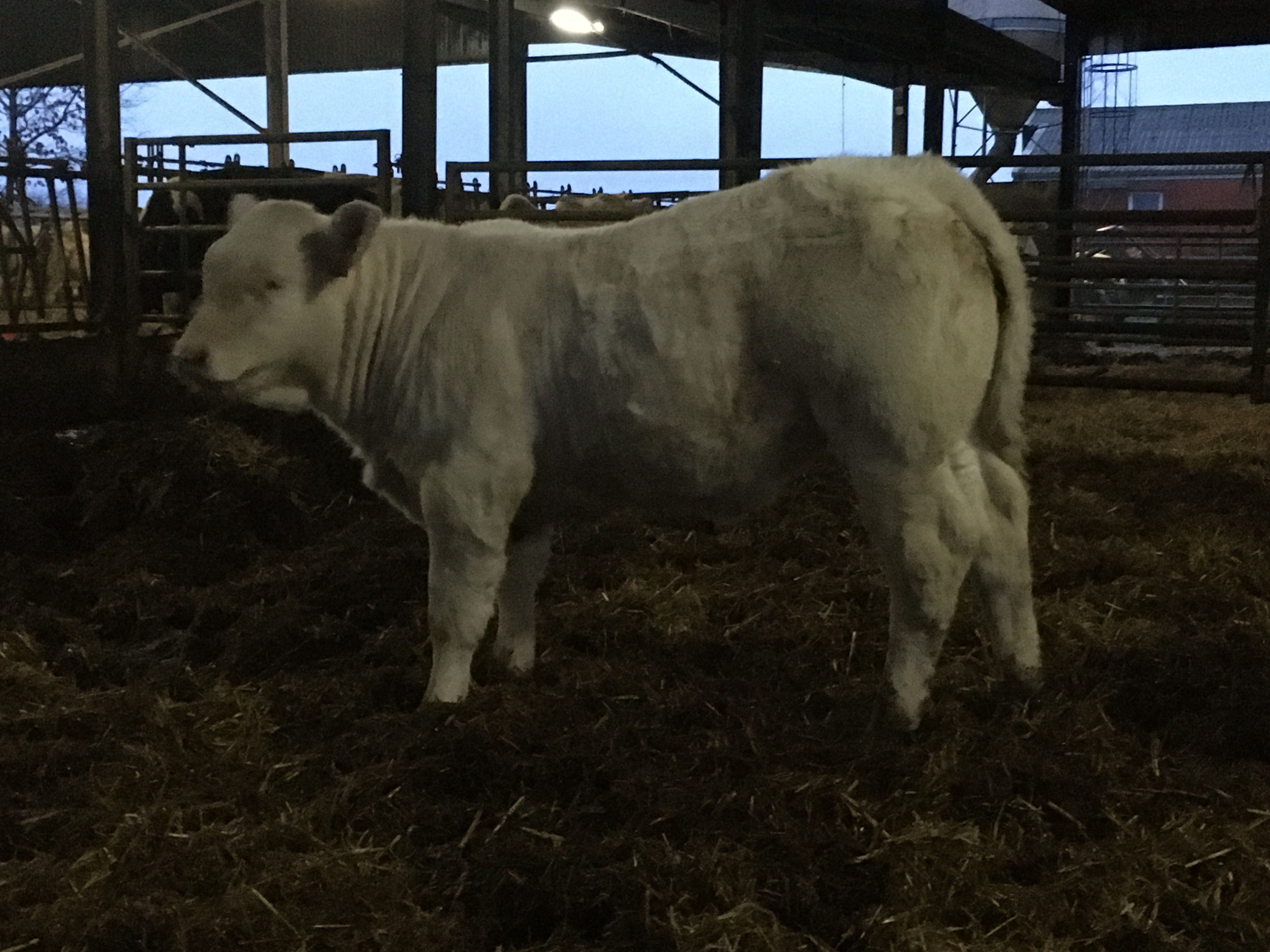 84511144_688563135017256_6769198943344525312_n