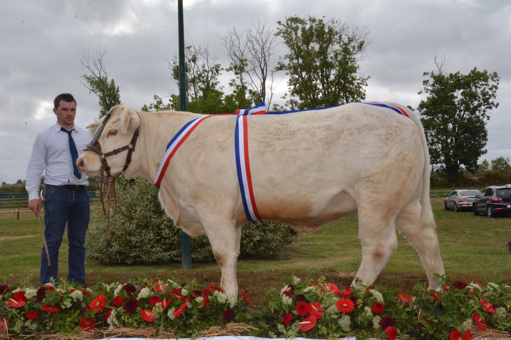 lafleur-prix-femellesjunior-reserve000_0107