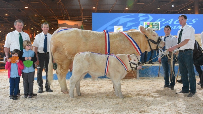 lysdespreswithhisdam